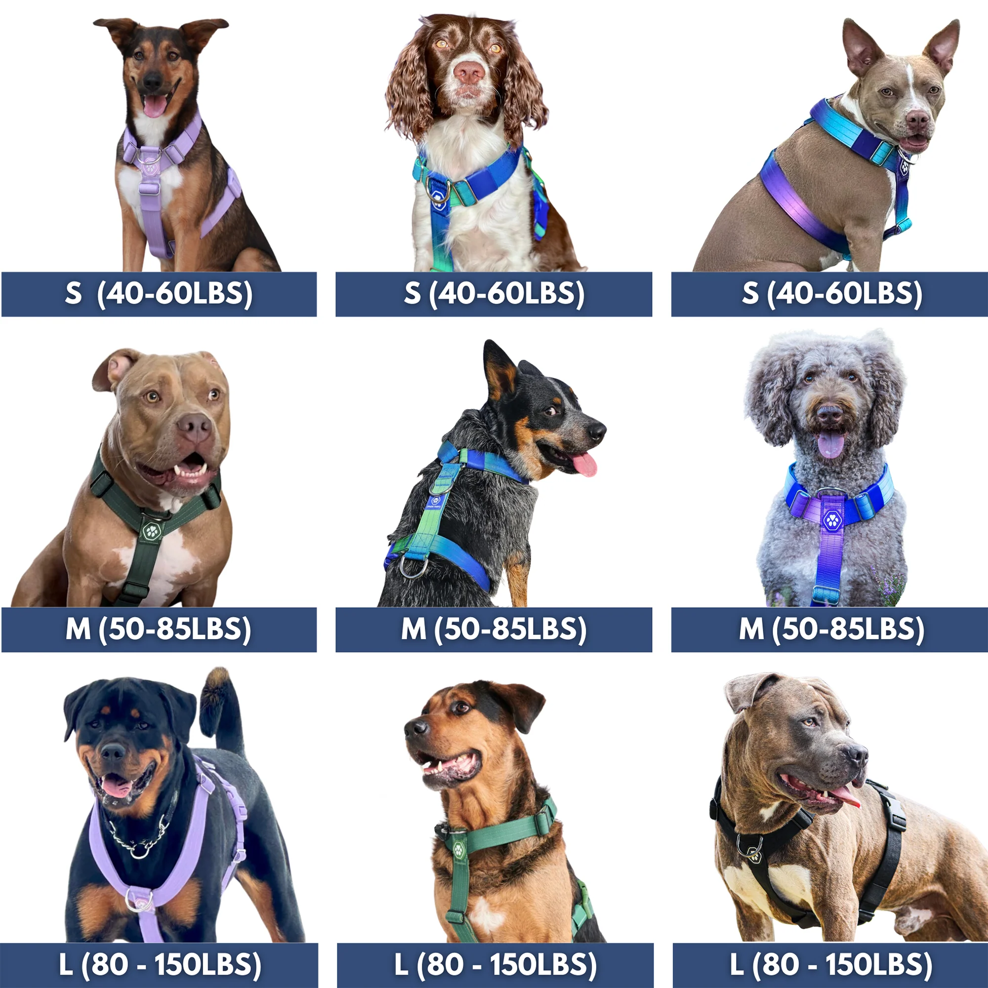 Comfort Control No-Pull Dog Harnesses - Image 39